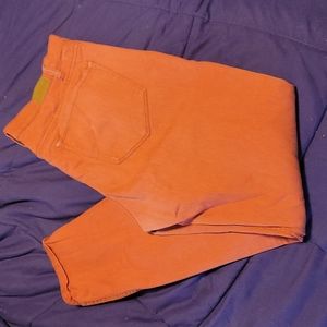 BGD ladies pants